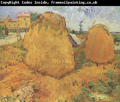 Vincent Van Gogh Haystacks in Provence (nn04)